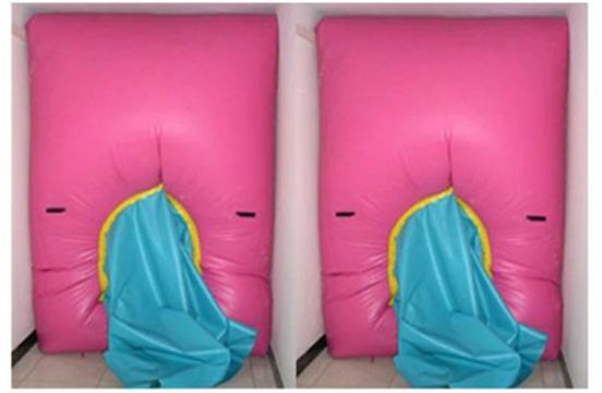 點擊查看詳細信息<br>標題：快速封堵氣囊 閱讀次數：2746