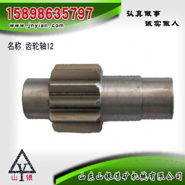 點(diǎn)擊查看詳細(xì)信息<br>標(biāo)題：齒輪軸12 江陰系列配件 閱讀次數(shù)：2253