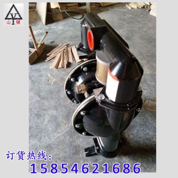 點擊查看詳細信息<br>標題：氣動隔膜泵著名品牌-氣動隔膜泵廠家 閱讀次數(shù)：2040