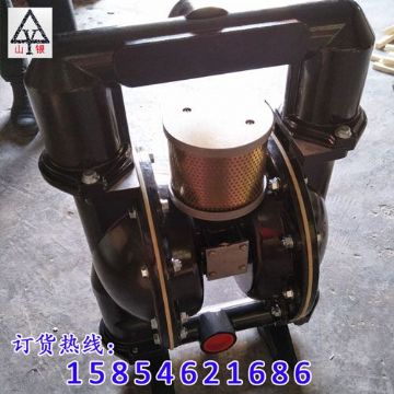 點擊查看詳細信息<br>標題：氣動隔膜泵 閱讀次數：1969