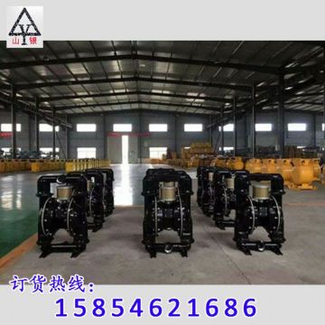 點擊查看詳細信息<br>標題：隔膜泵_氣動隔膜泵_隔膜泵價格_隔膜泵 閱讀次數(shù)：1913