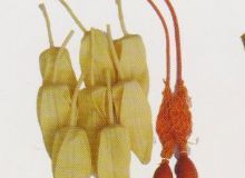 點擊查看詳細信息<br>標題：取氣樣球膽 閱讀次數：246